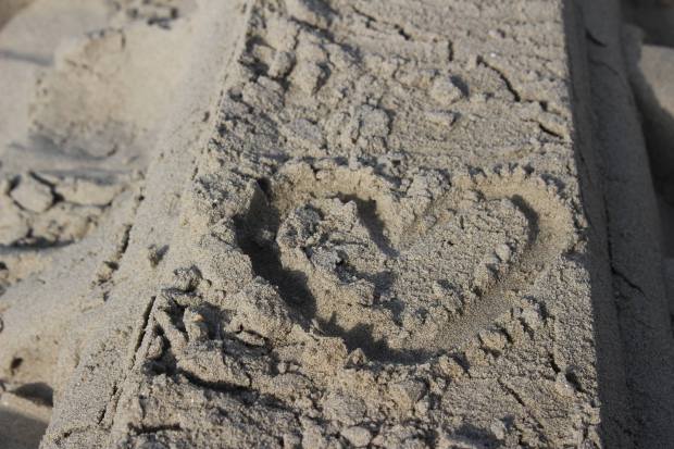 52823363_308828459821965_7923720731291025408_n