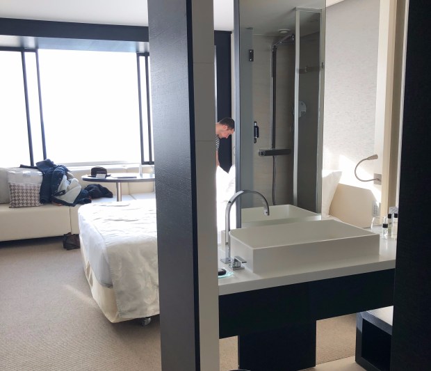 53525872_779733222408343_3961494241158365184_n