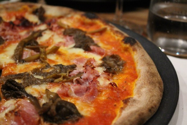 71689149_735630003619190_3081214052161028096_n