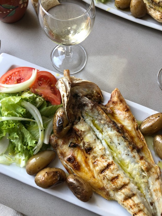 71690020_481359465927423_7811544036719722496_n